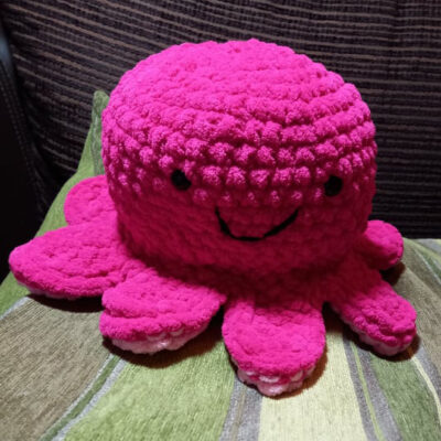 Reversible Octopus - Image 2